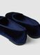 Classic blue Friulane_1