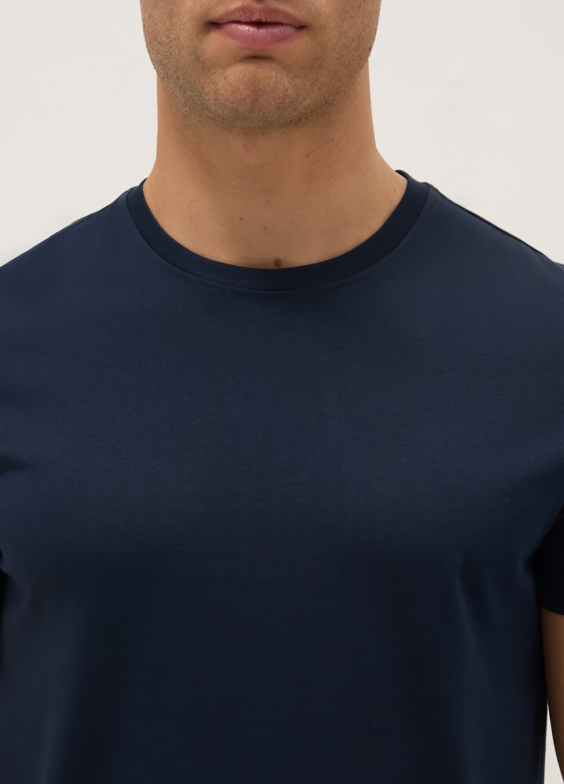 Regular Fit Round Neck Blue Pure Cotton T-shirt