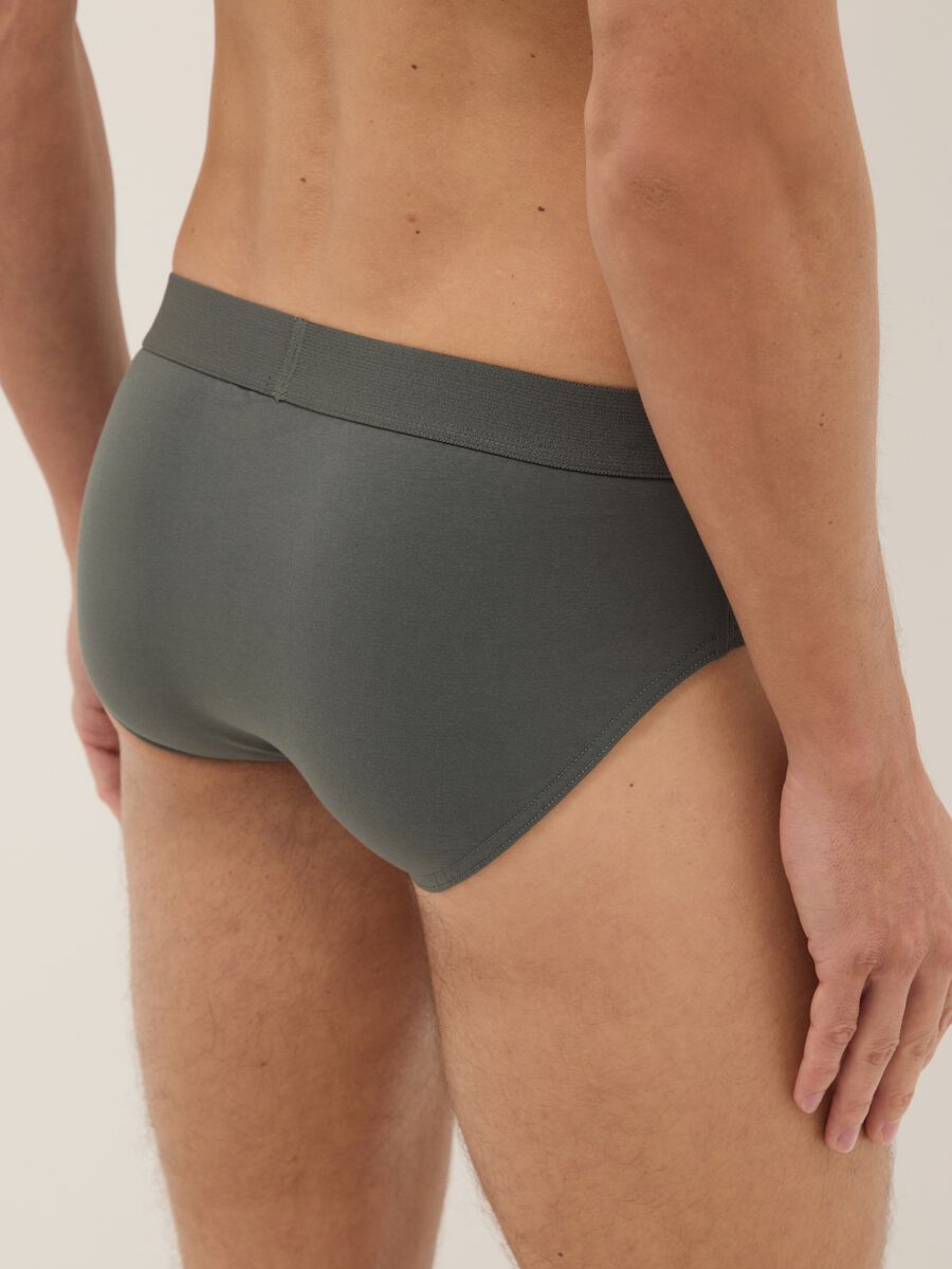 Multipack of regular fit multicolour stretch cotton briefs_2