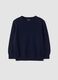 Blue pure wool long-sleeve jumper, regular fit_0