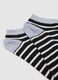 Organic Cotton Blend Multicolour Socks Tripack_1