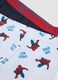3-pack of organic stretch cotton midi boxers with MARVEL Spider-Man print_3