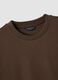 Brown regular fit crew neck T-shirt in pure cotton_5