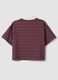Multicolour striped pure cotton polo with oversized collar_6