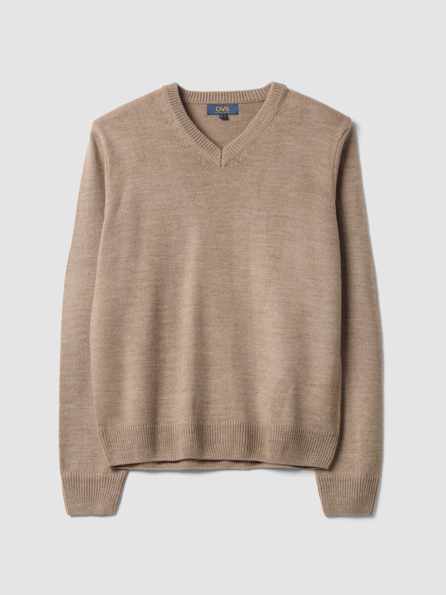Brown V-neck jumper, regular fit_0
