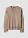 Brown V-neck jumper, regular fit_0