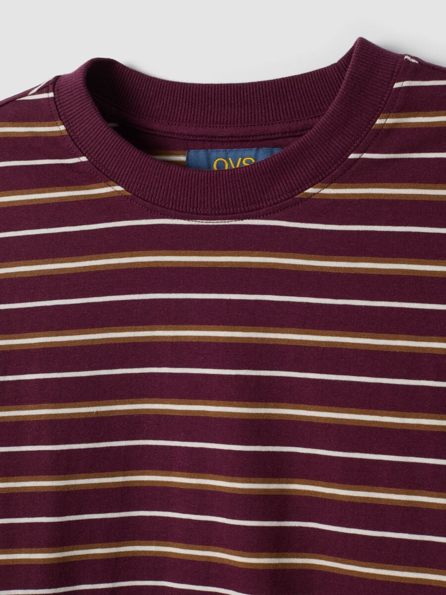 Multicolour pure cotton striped crew-neck T-shirt, regular fit_5