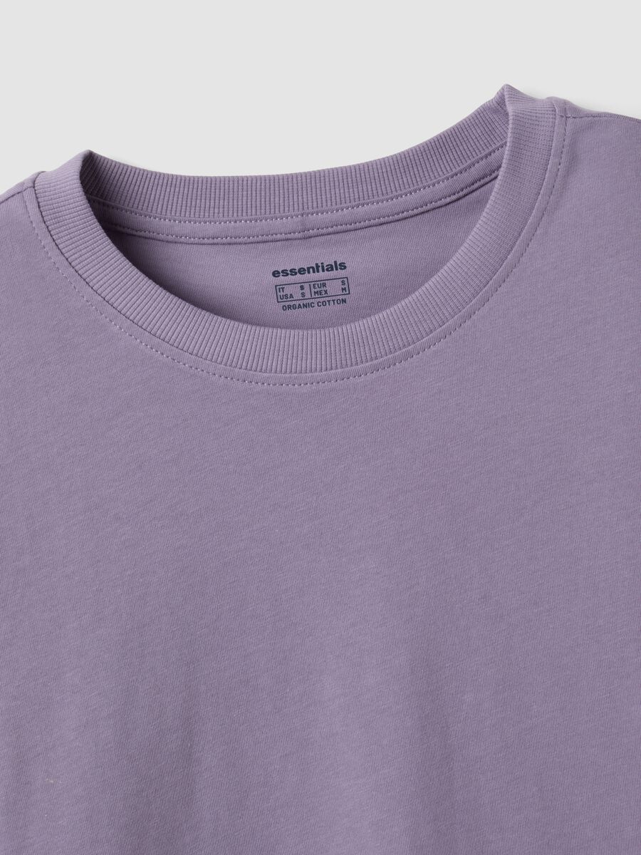 T-shirt viola in puro cotone organico a girocollo regular fit_1