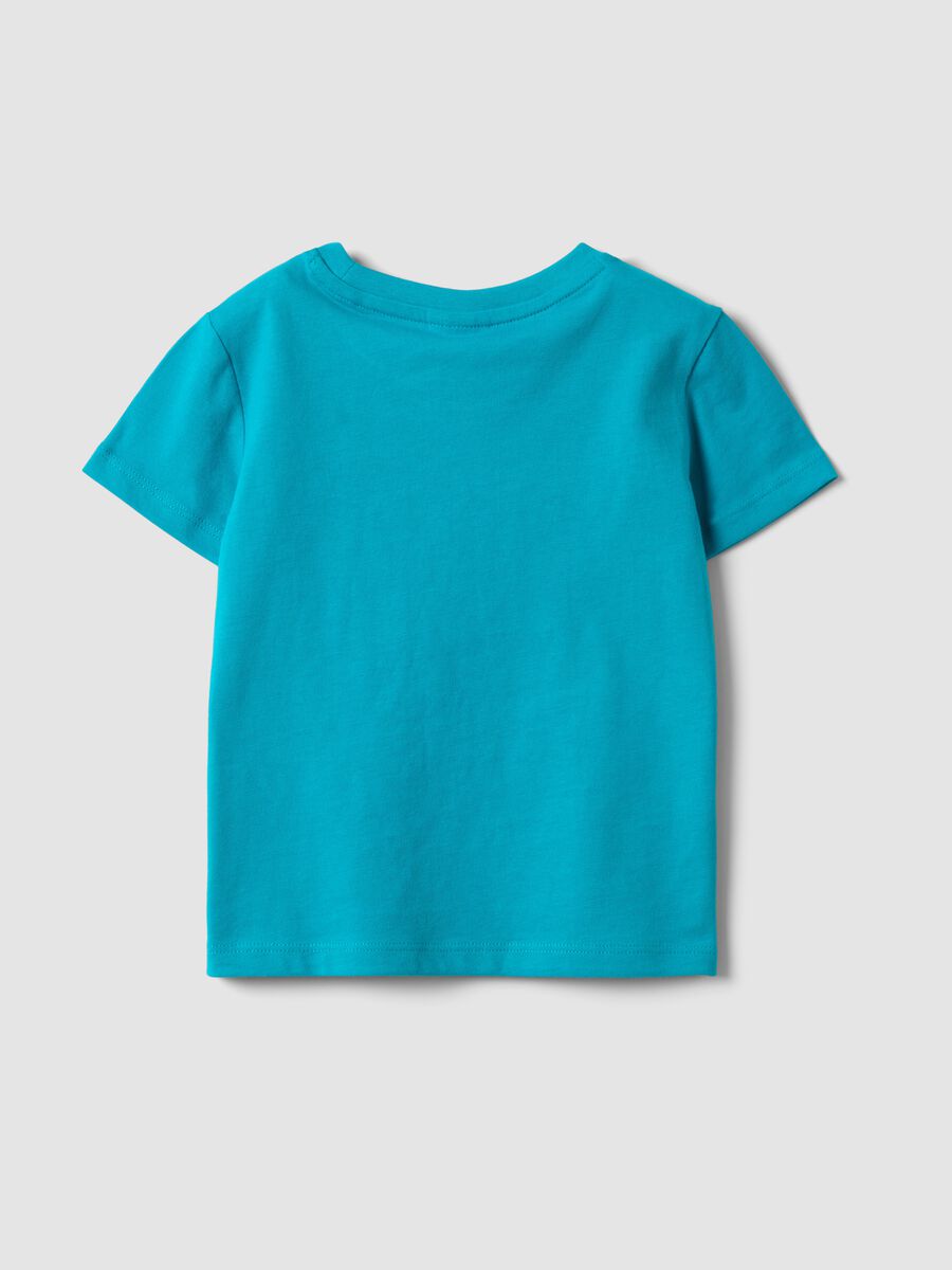 T-shirt azzurra in puro cotone organico con stampa regular fit per bimbo_1