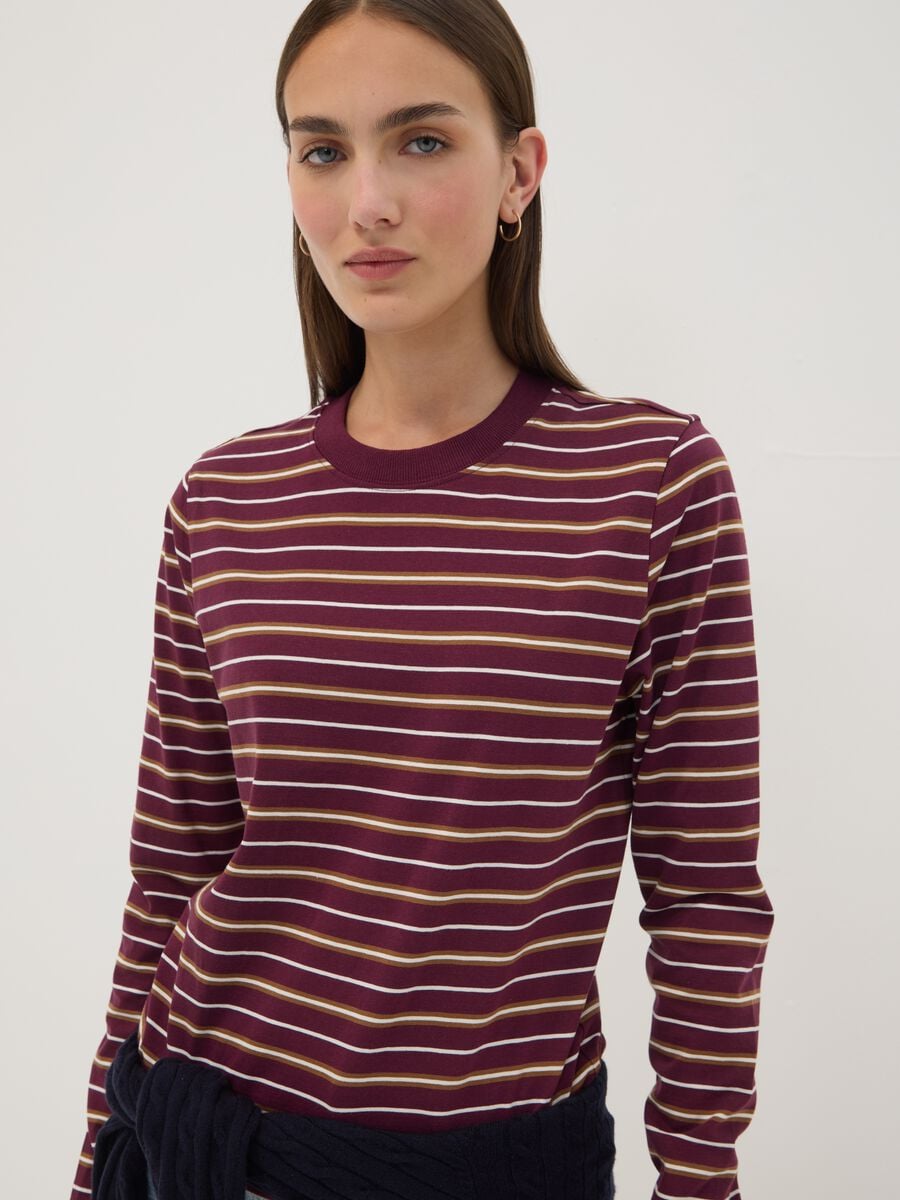 Multicolour pure cotton striped crew-neck T-shirt, regular fit_1