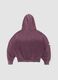 Sun-Faded Burgundy Hoodie_1