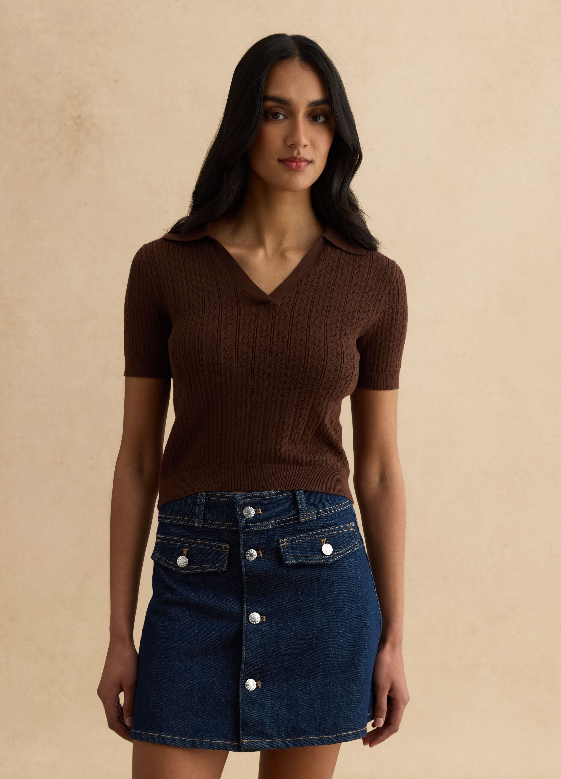 Brown cotton blend regular fit sweater with polo collar