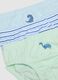 Multipack of multicoloured pure cotton regular fit panties for newborns_3