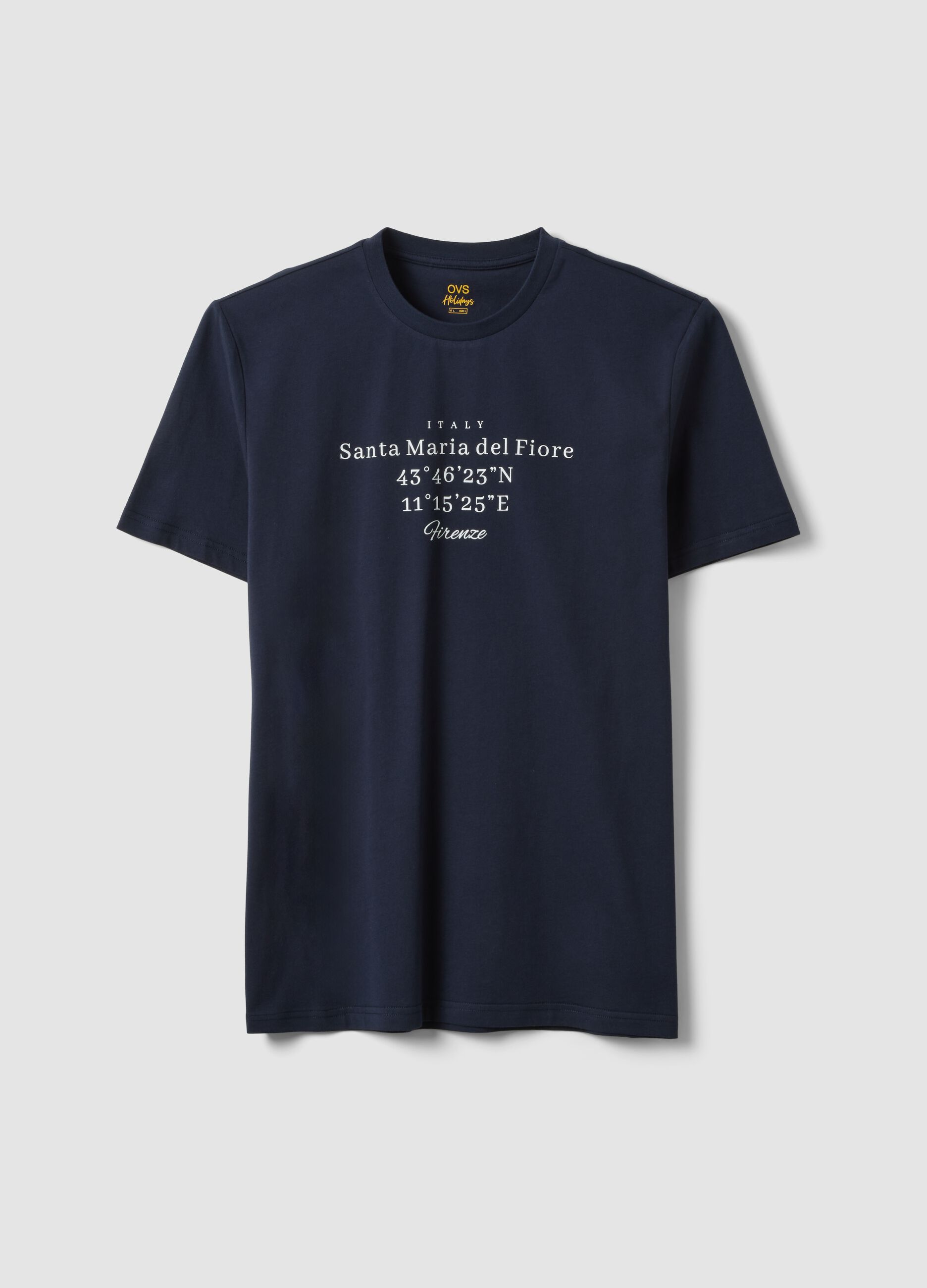Blue short-sleeved pure cotton regular fit T-shirt