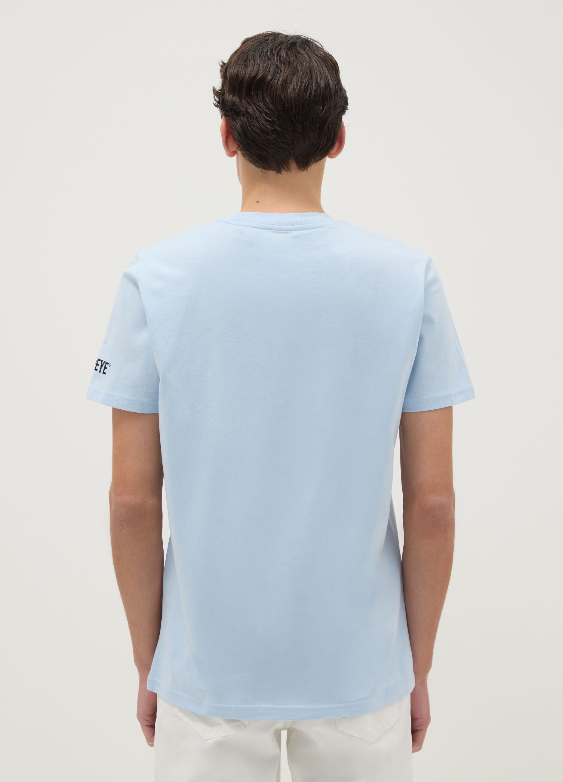 Blue pure cotton regular fit T-shirt with print
