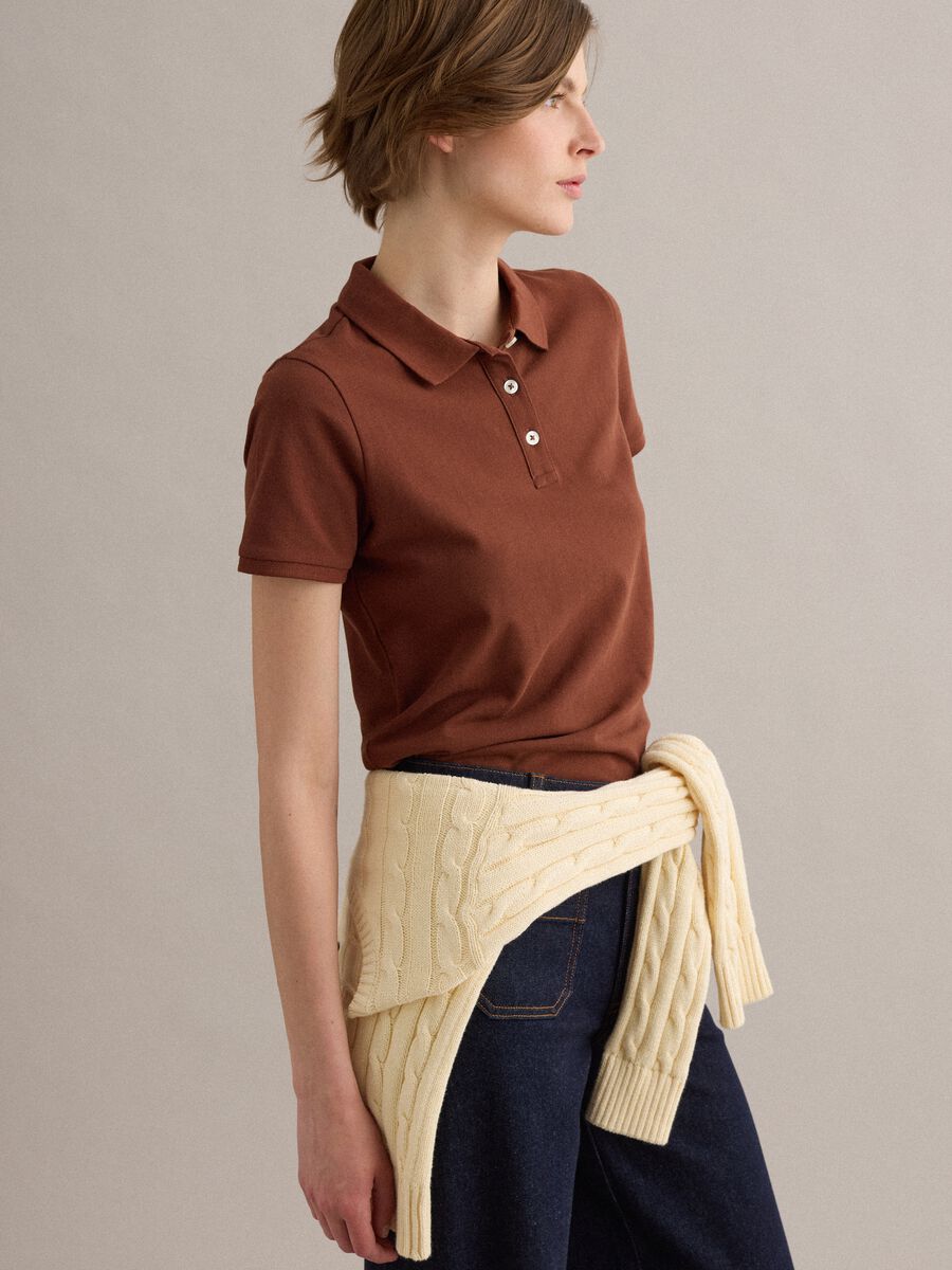 Brown polo shirt in pure organic cotton, regular fit_2