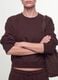 Brown cotton-blend crew-neck sweatshirt, regular fit_2