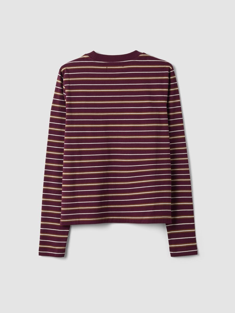 Multicolour pure cotton striped crew-neck T-shirt, regular fit_6