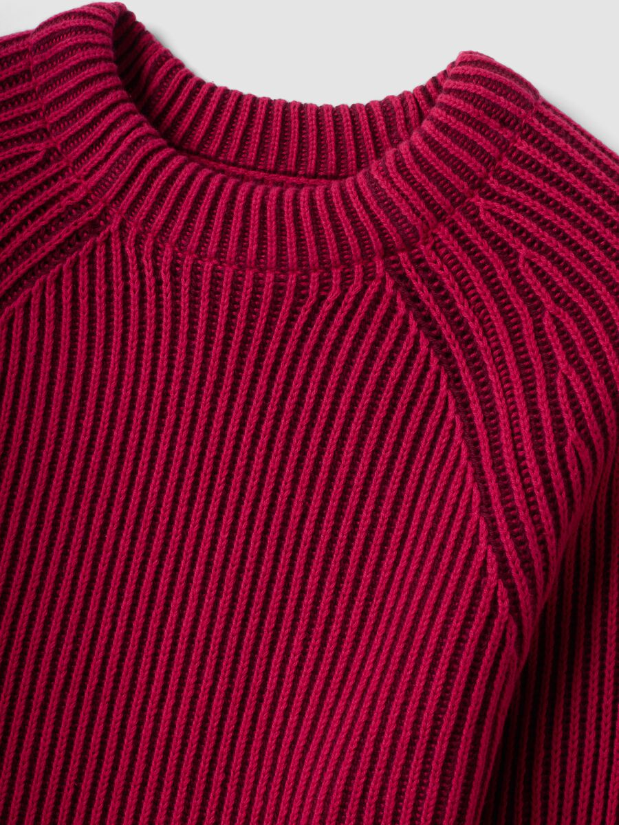 Multicolour pure cotton ribbed crew-neck jumper, regular fit_5