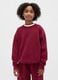 Red crewneck sweatshirt_3