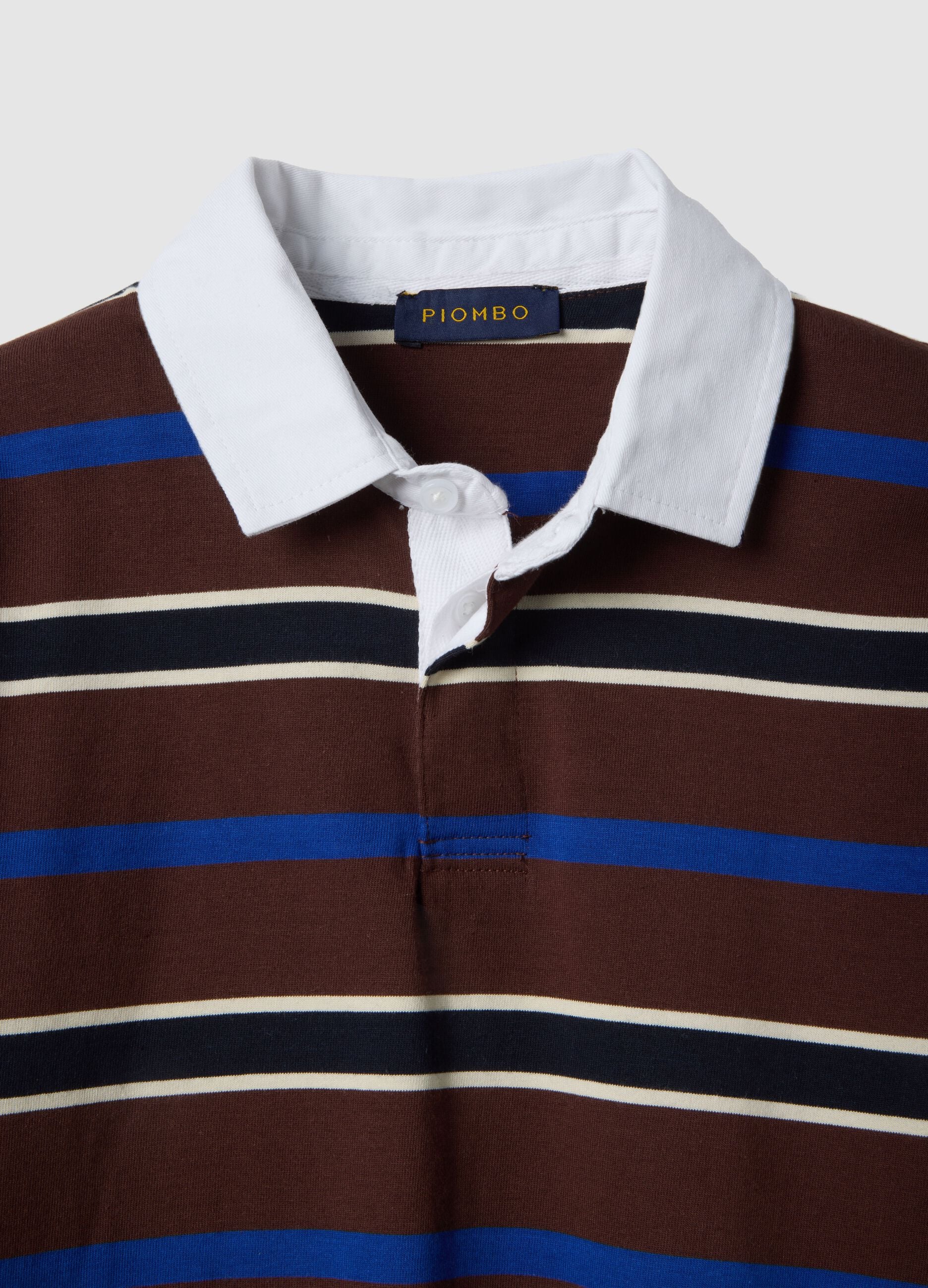 Multicolour striped long-sleeve polo in pure cotton, regular fit