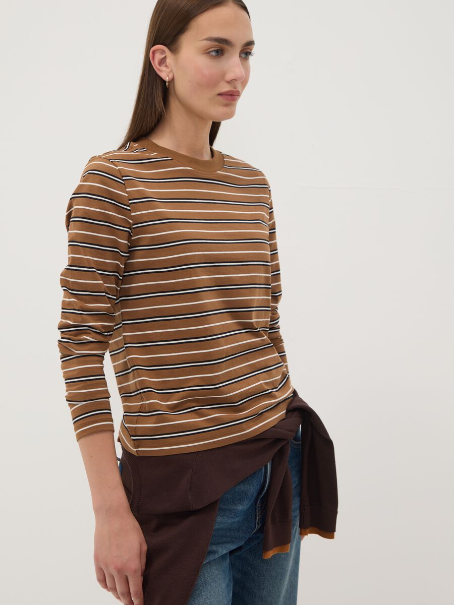 Multicolour pure cotton striped crew-neck T-shirt, regular fit_1