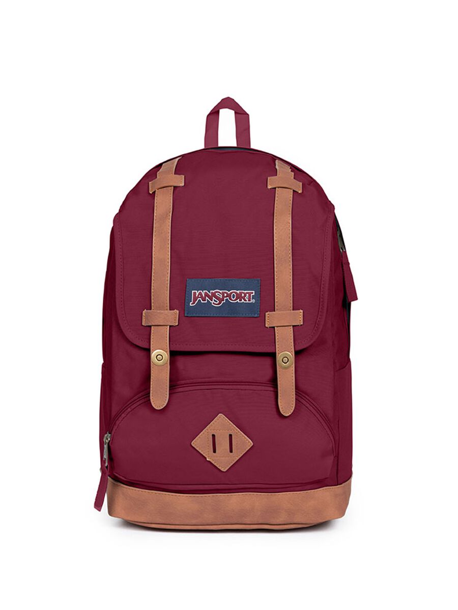Jansport Cortlandt backpack_0