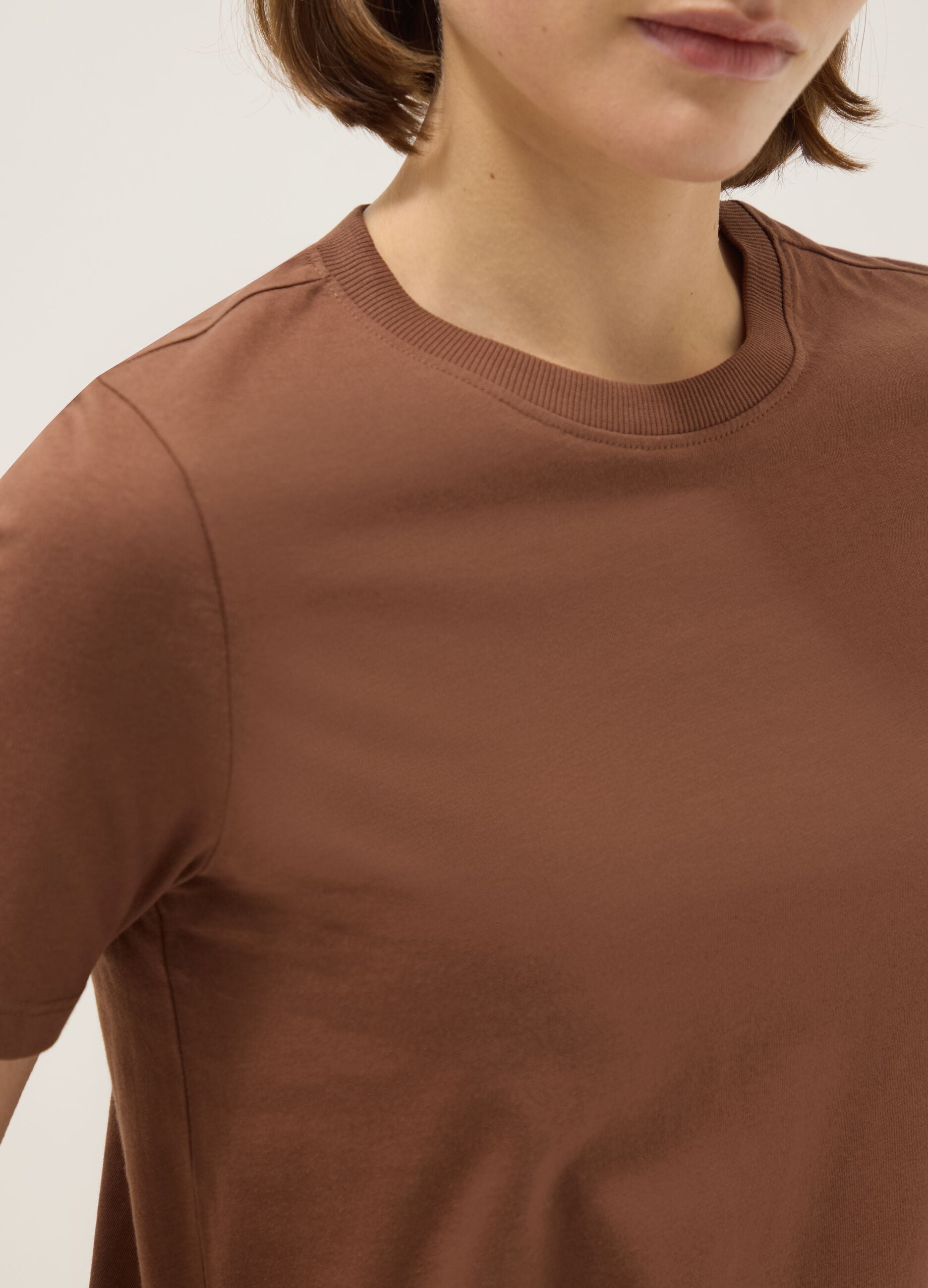 Brown pure cotton crew neck T-shirt regular fit