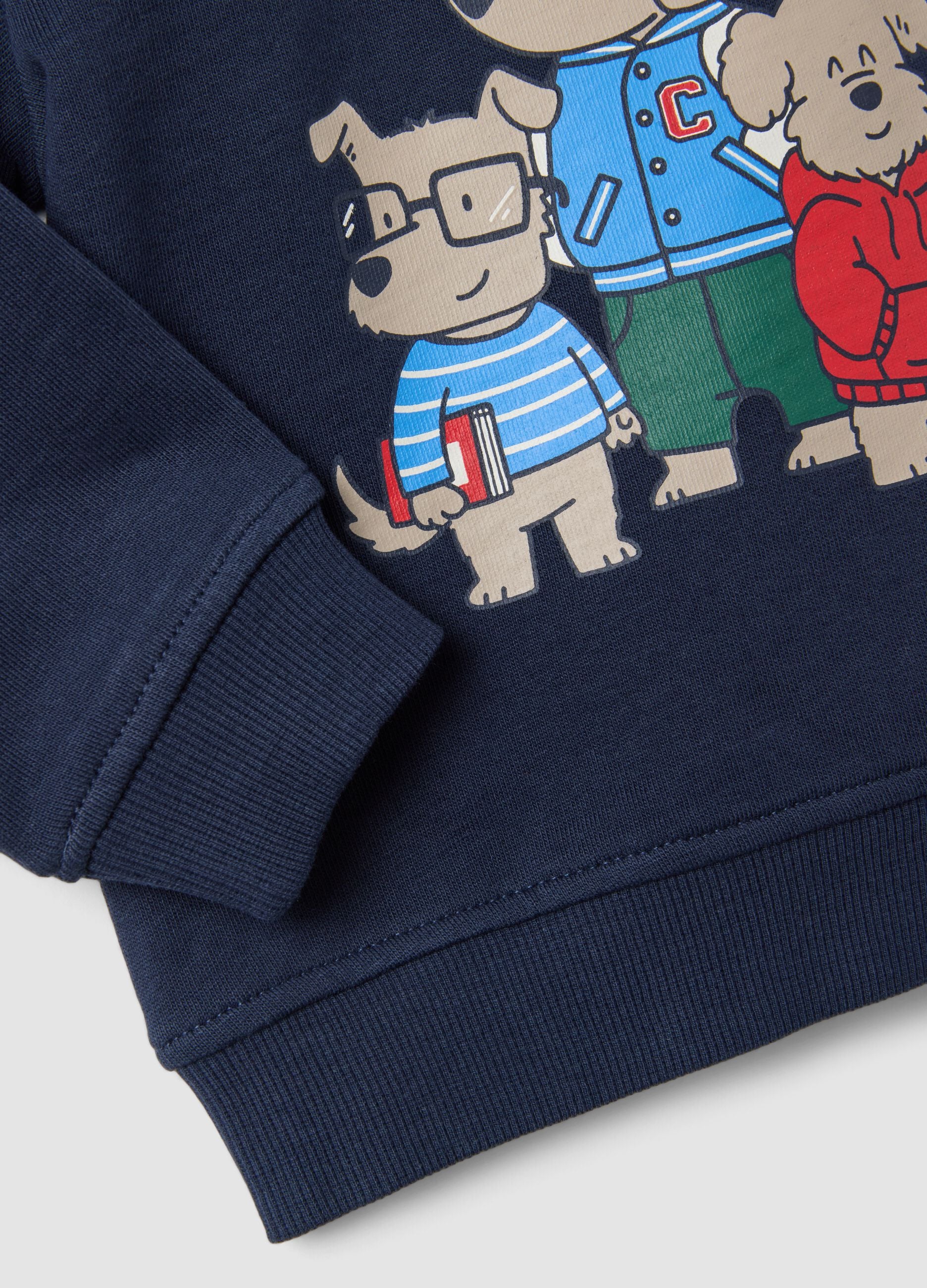 Blue pure cotton crew-neck sweatshirt with print for boys, regular fit