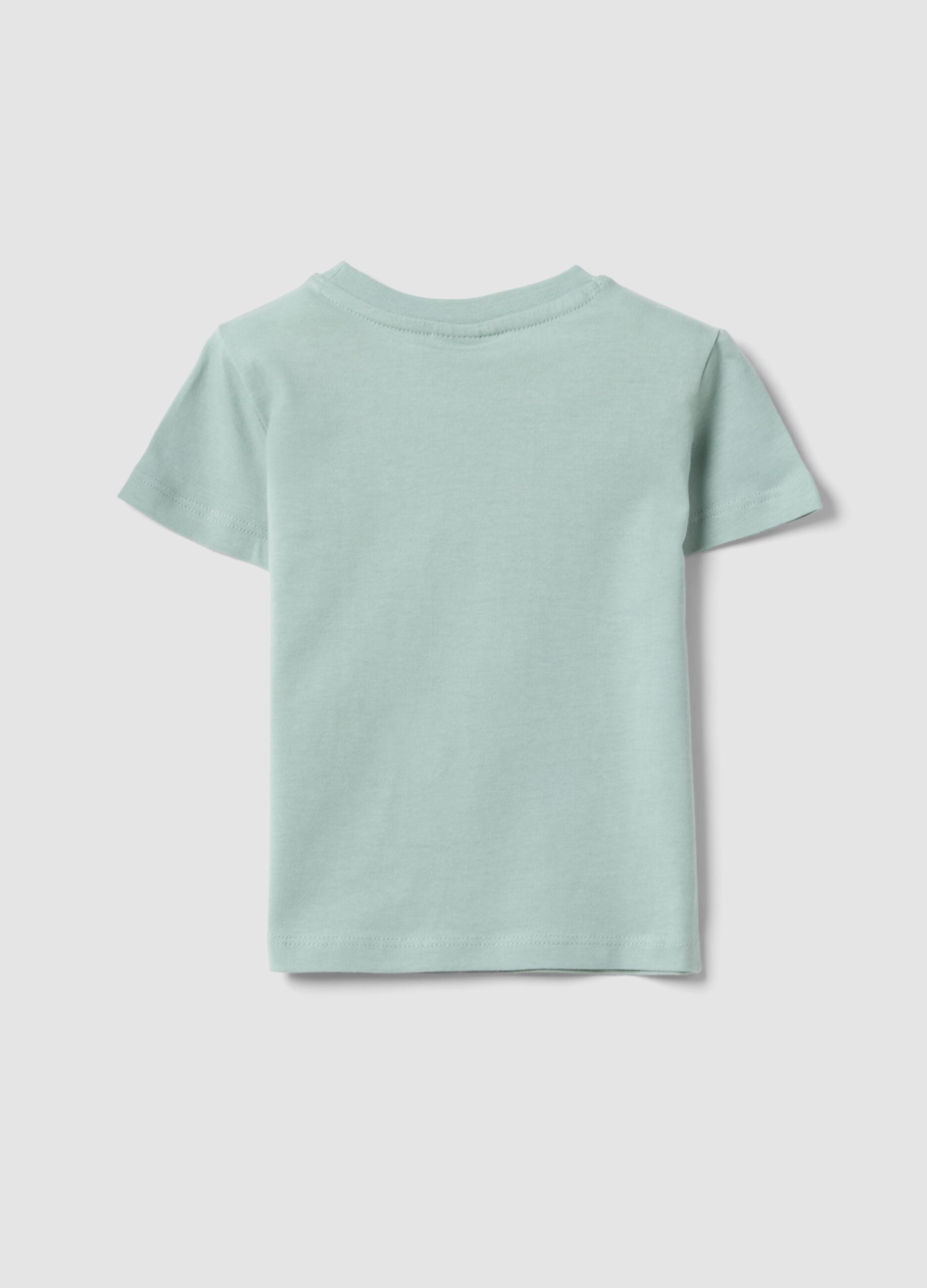 Light blue pure cotton regular fit t-shirt for kids with dog print