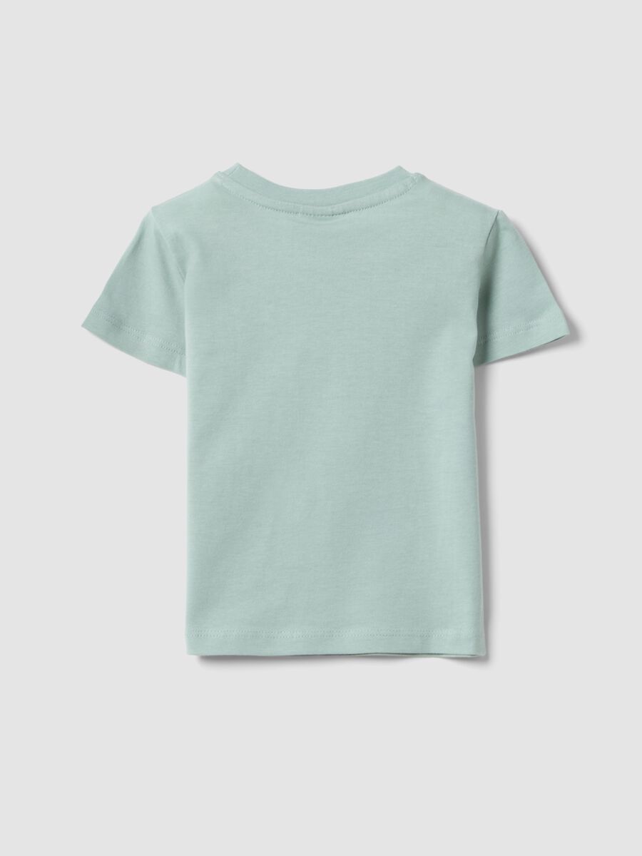 Light blue pure cotton regular fit t-shirt for kids with dog print_1
