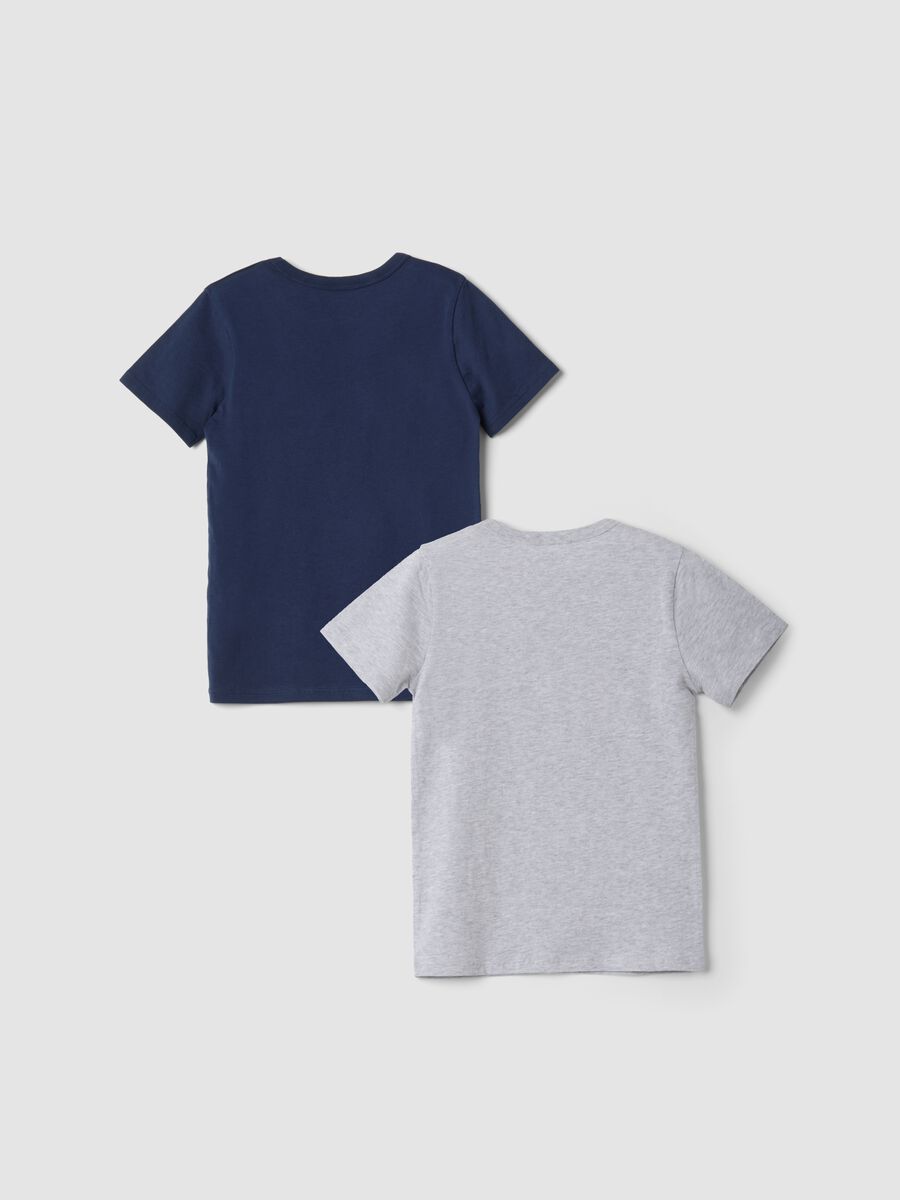 2-pack grey and blue crew-neck T-shirts in pure organic cotton_1