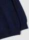 Blue pure wool long-sleeve jumper, regular fit_1