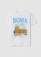 White pure cotton T-shirt with print, regular fit_4
