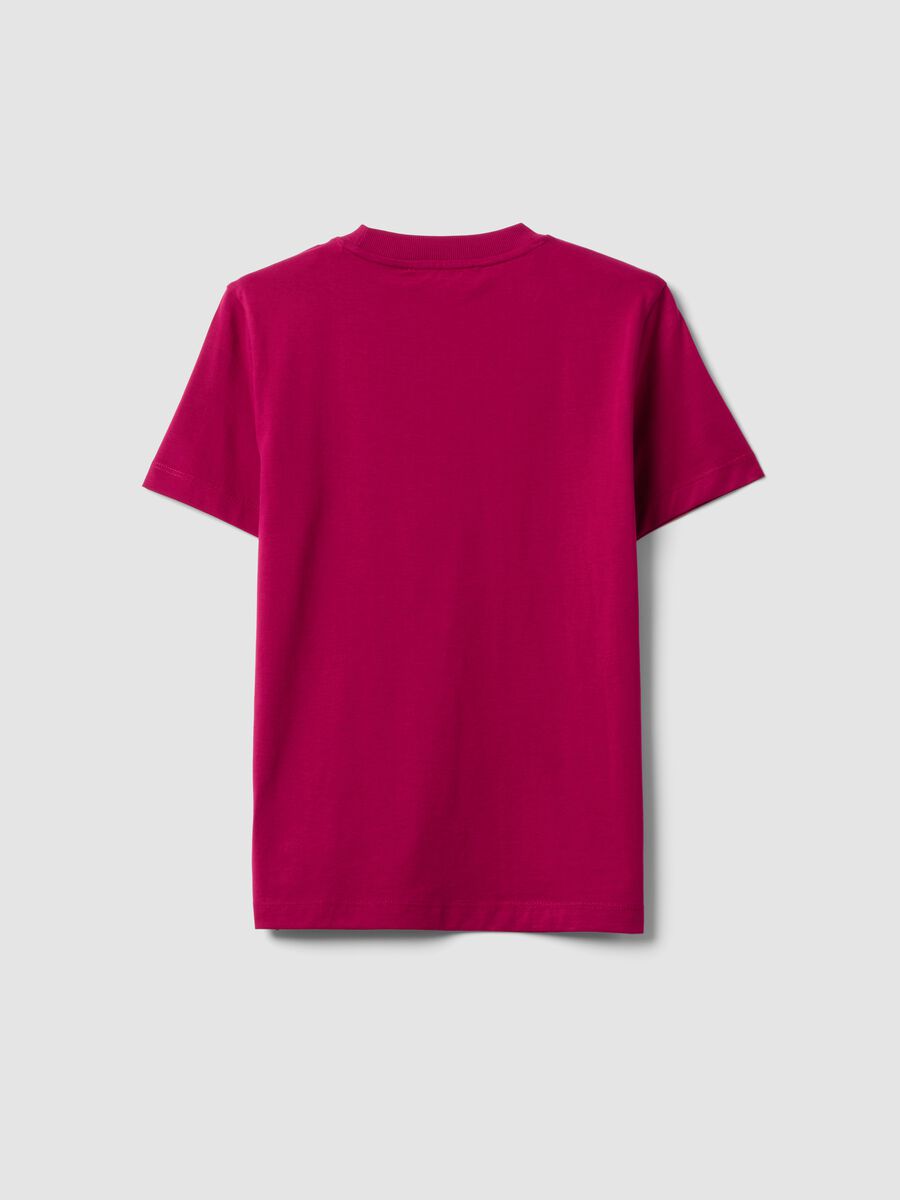 T-shirt girocollo rosa in puro cotone Supima regular fit_6