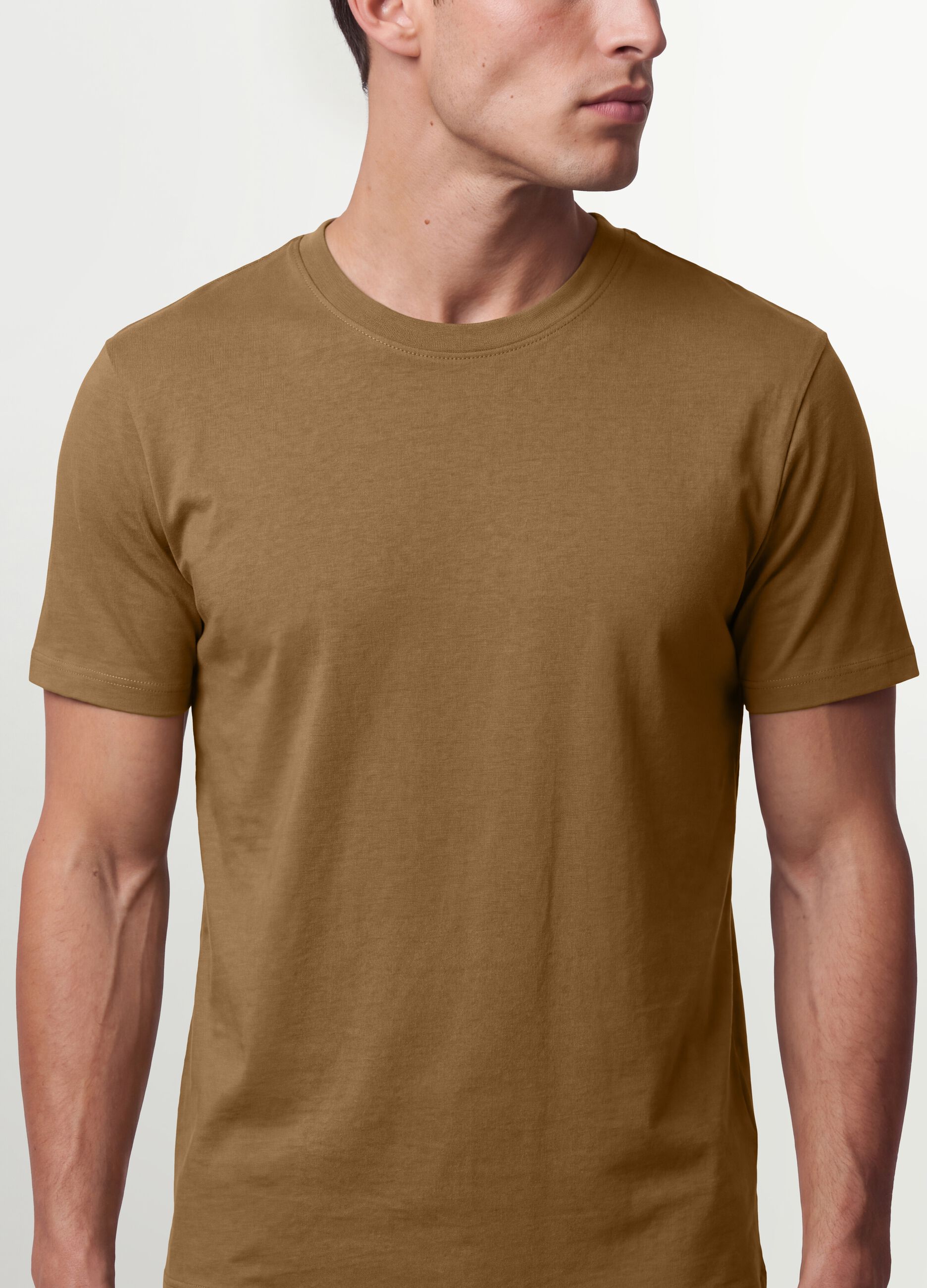 Brown regular-fit T-shirt in pure organic cotton jersey