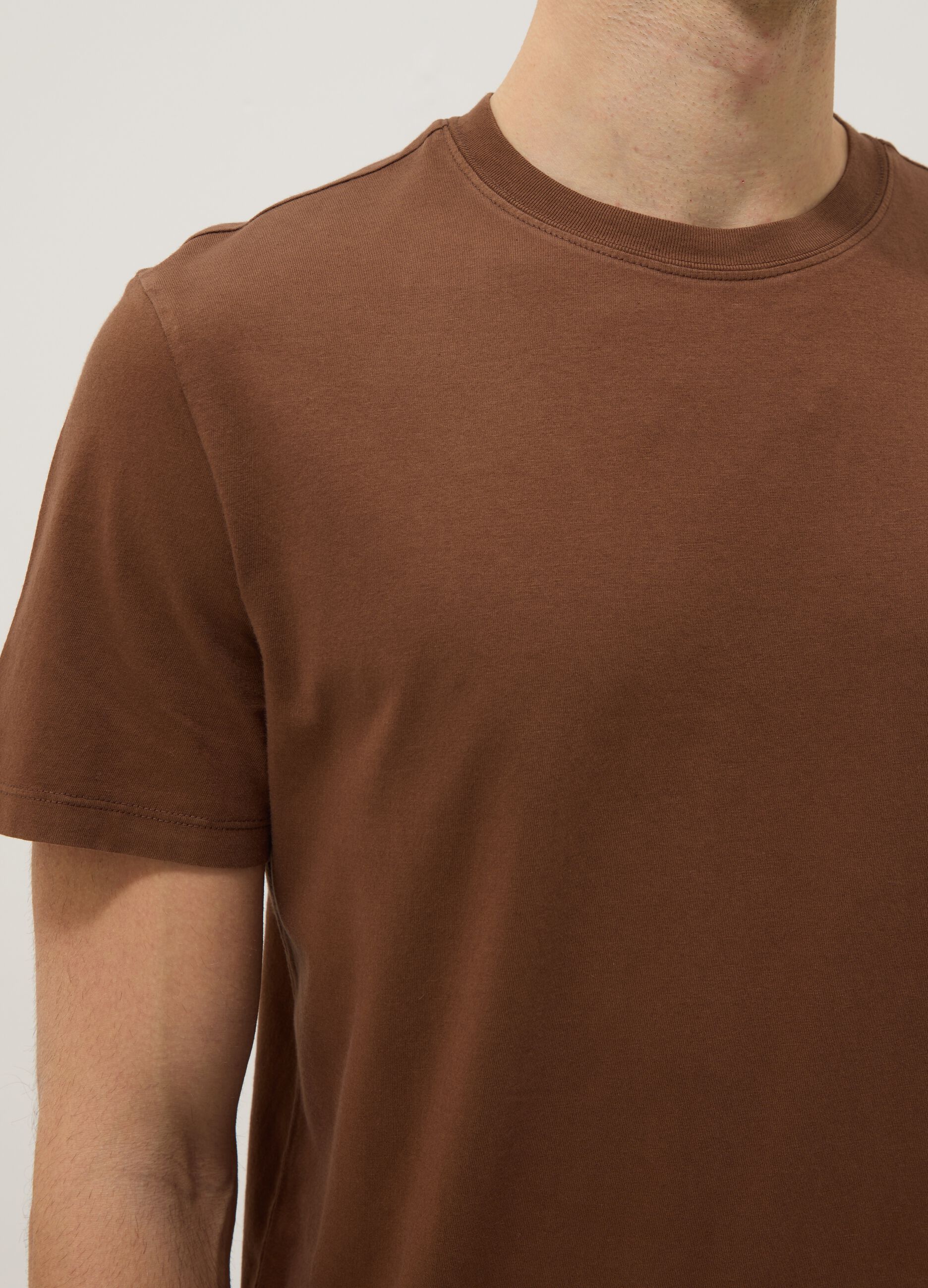 Brown crew neck pure cotton regular fit t-shirt