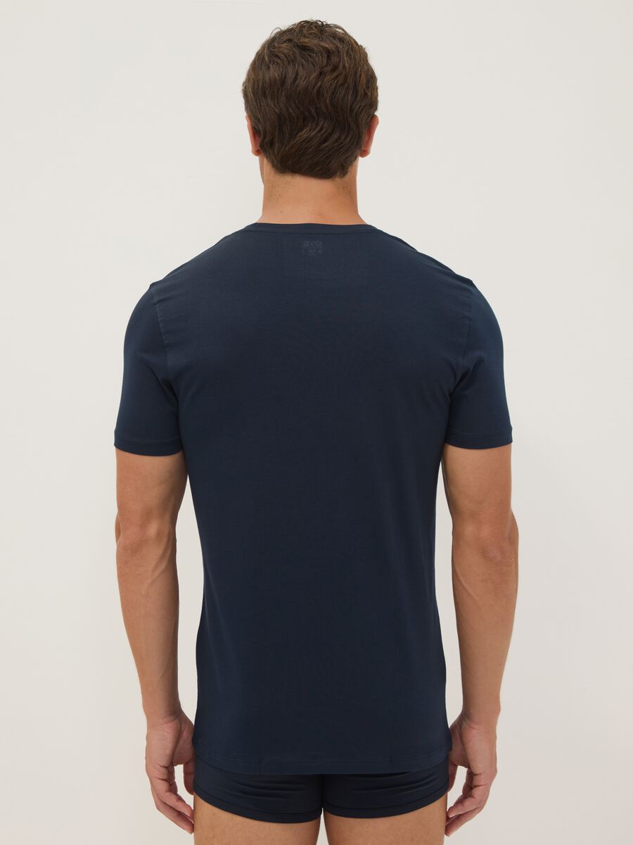 Blue pure Supima cotton V-neck T-shirt, regular fit_3