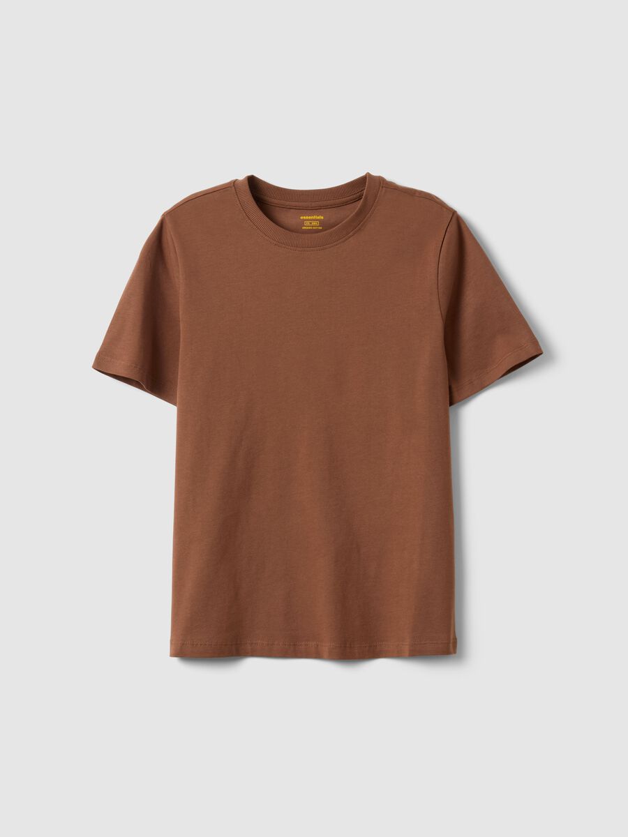 Brown pure cotton crew neck T-shirt regular fit_4