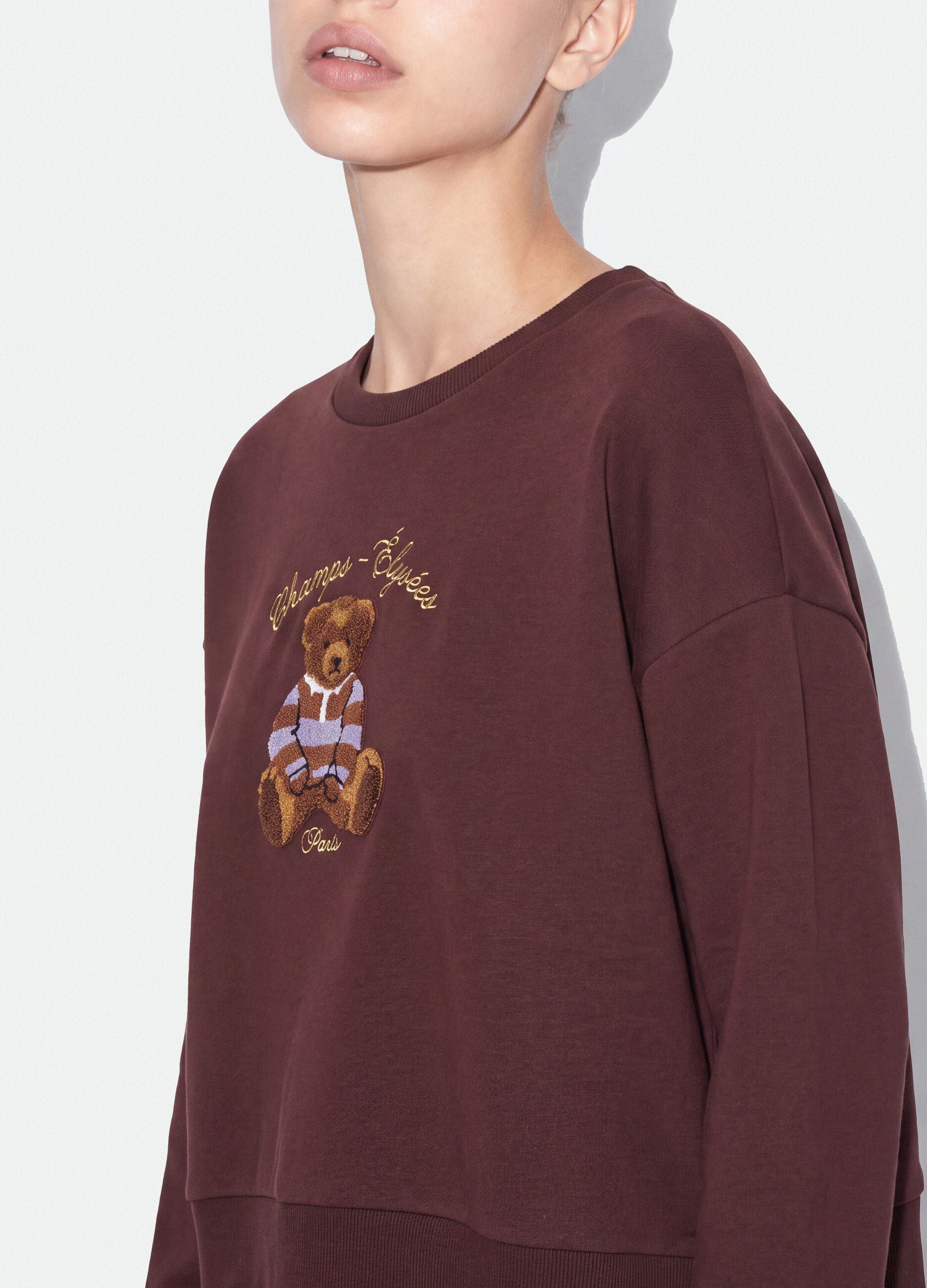 Brown cotton-blend sweatshirt with crew neck and teddy print