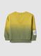 Boys' multicolour pure cotton sweatshirt regular fit with patch_1
