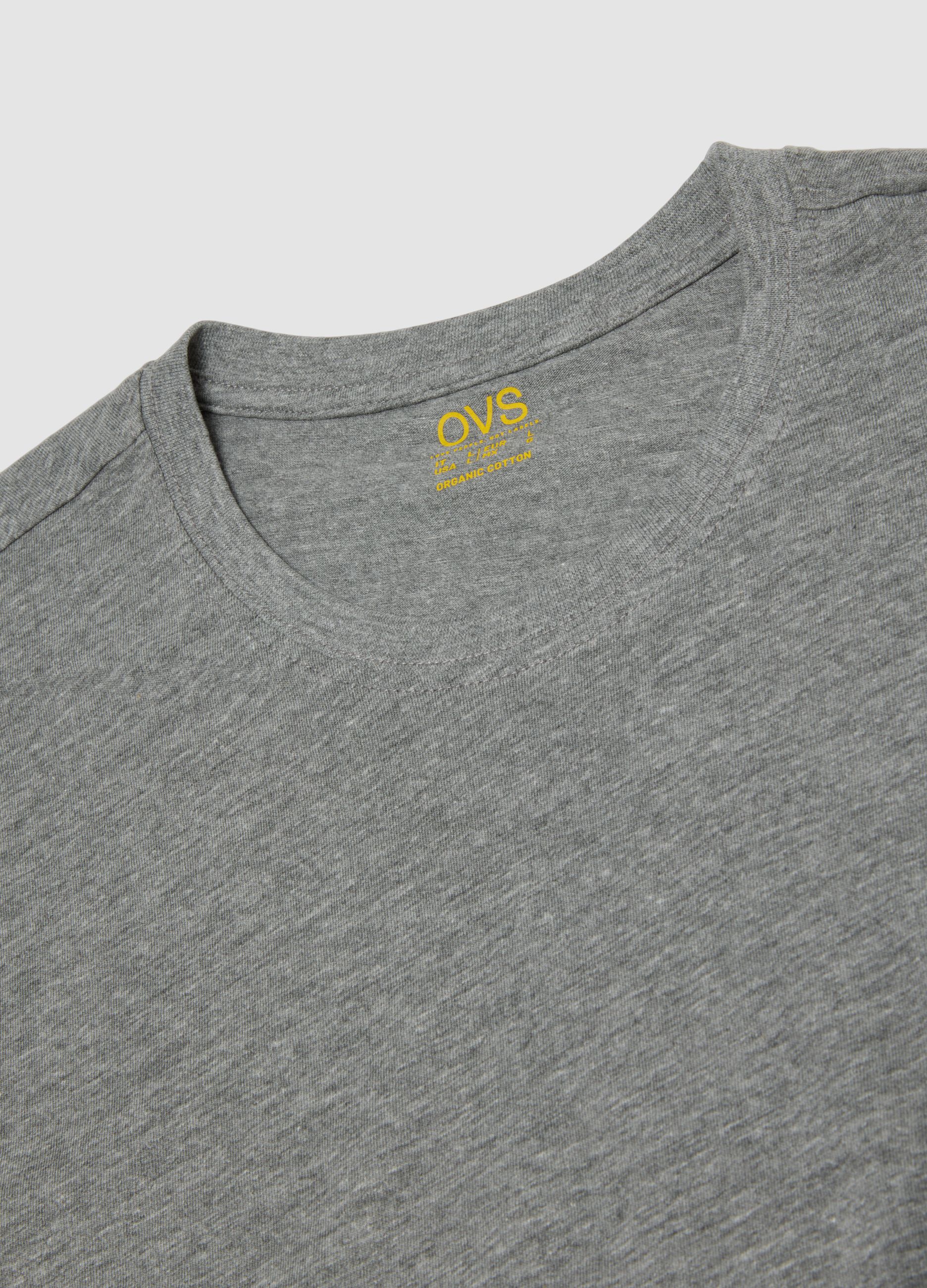 Grey regular-fit T-shirt in pure organic cotton