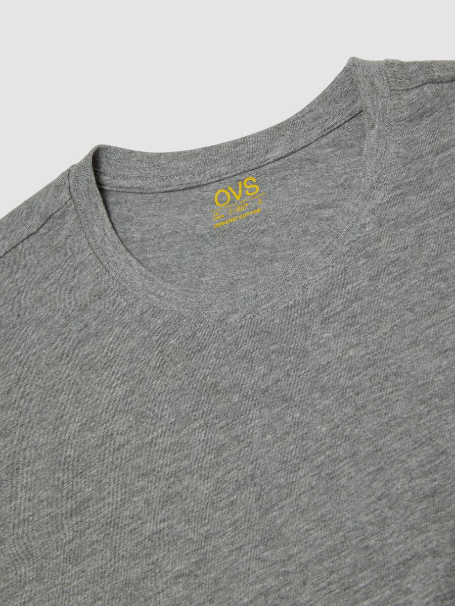 Grey regular-fit T-shirt in pure organic cotton_2