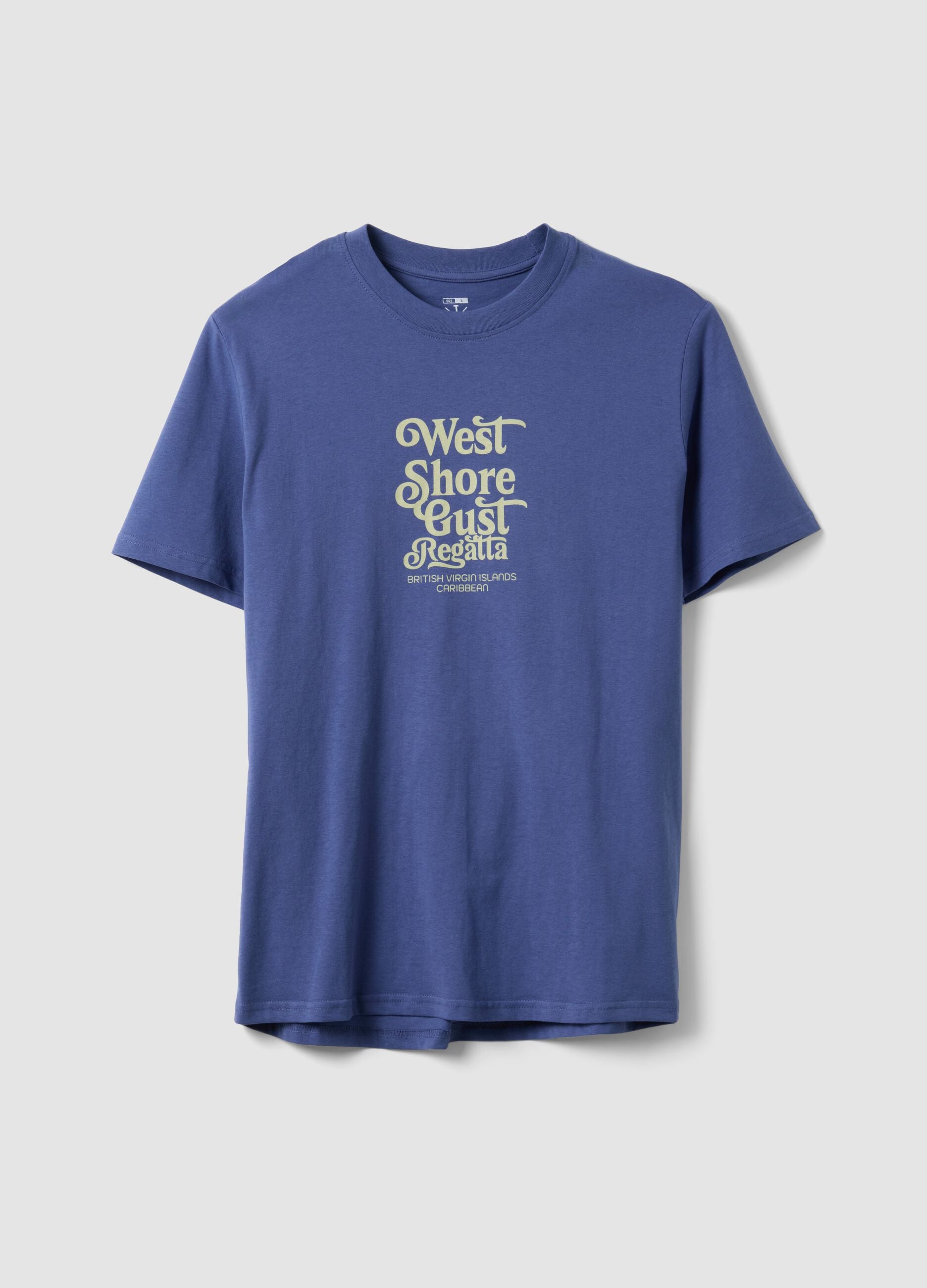 Blue short-sleeve pure cotton T-shirt with print