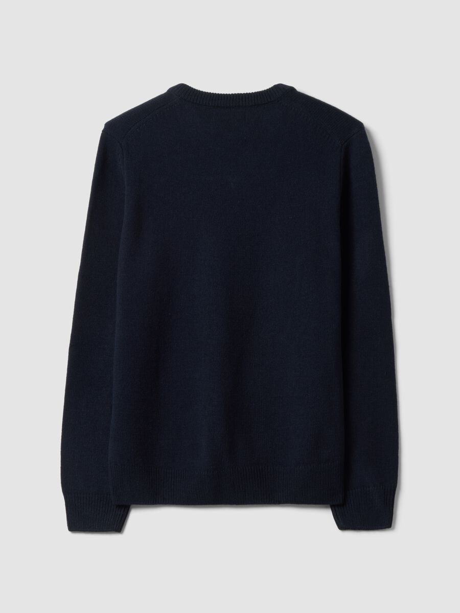 Navy V-neck jumper in regular fit_2