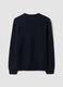 Navy V-neck jumper in regular fit_2