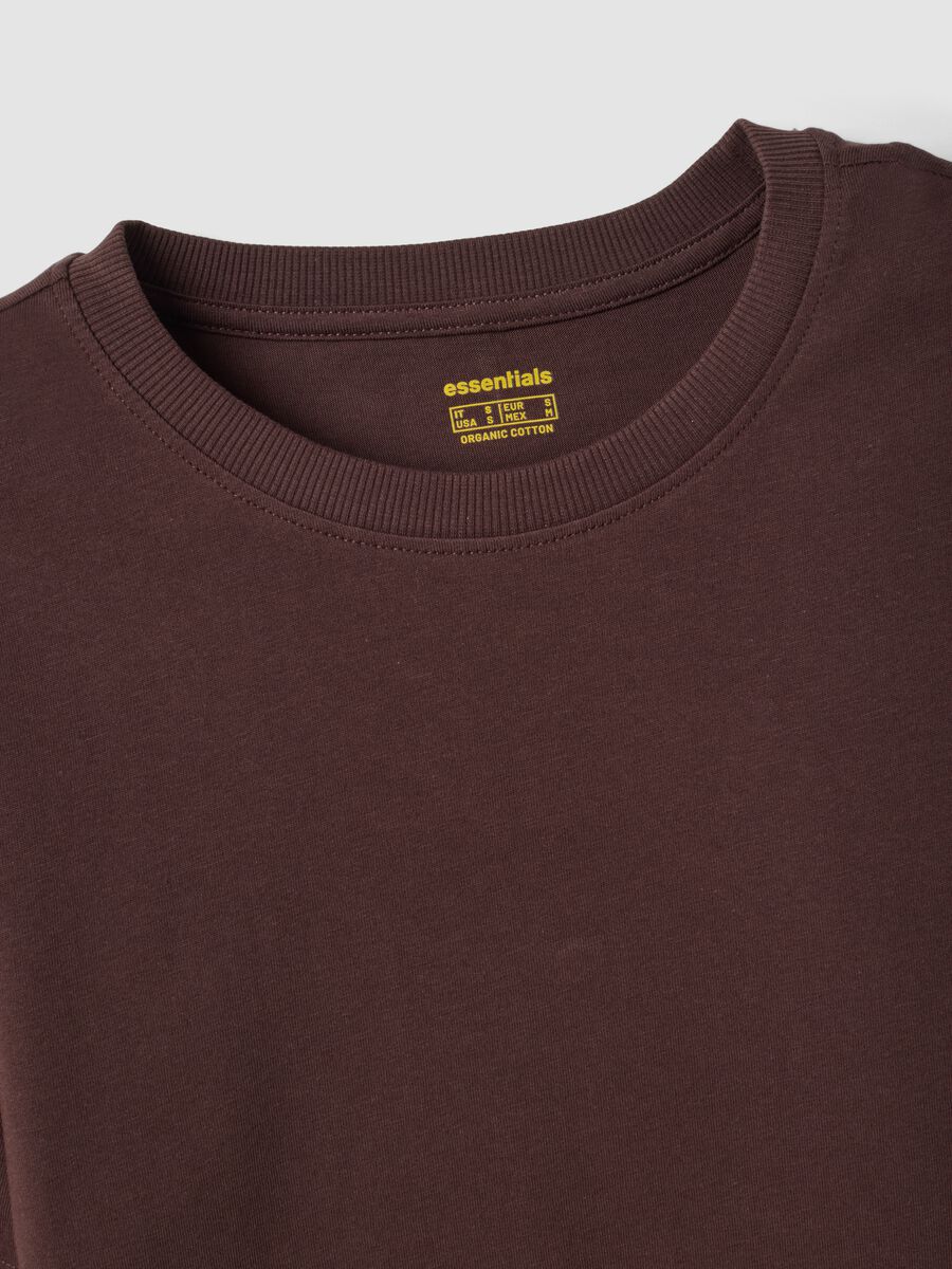 T-shirt marrone in puro cotone organico a girocollo regular fit_5