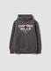 Grey cotton-blend hooded sweatshirt with Chicago Bulls print for boys_3