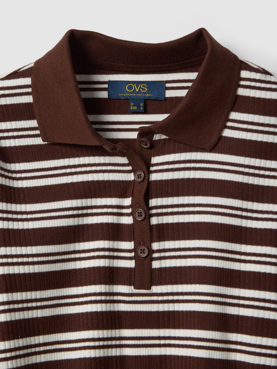 Stretch Cotton Multicolour Striped Polo, Regular Fit_5