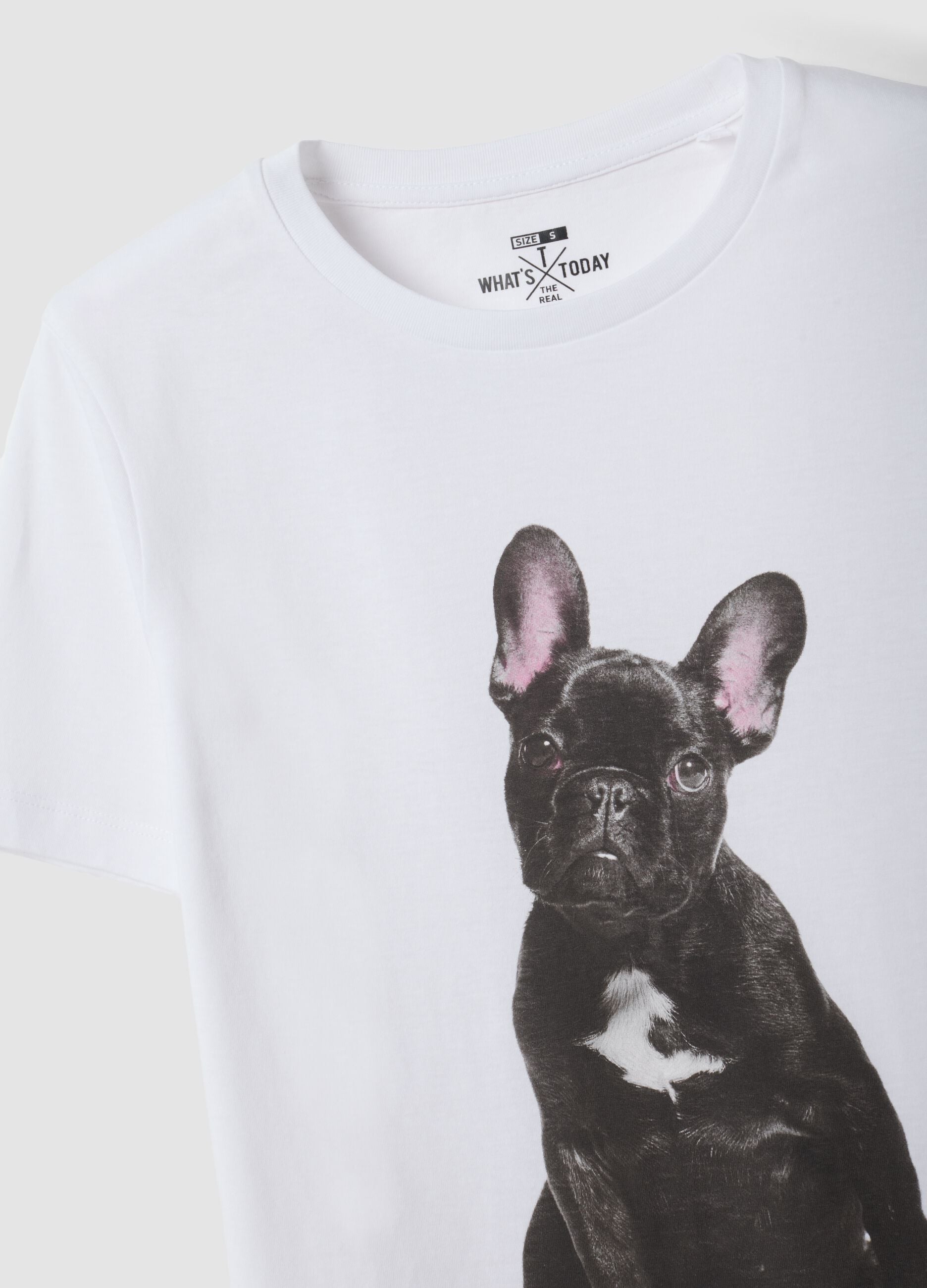 White pure cotton crew-neck T-shirt with puppy print, regular fit